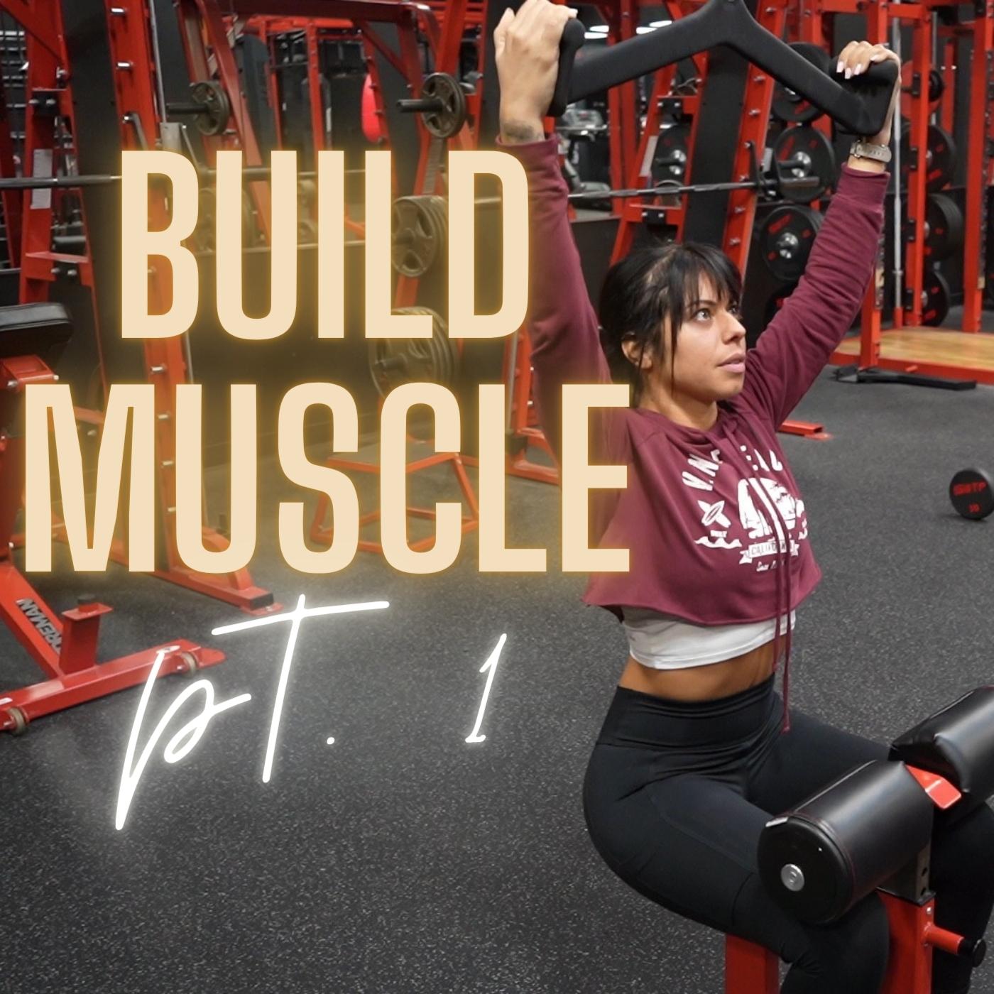 Build Muscle Program - Part 1