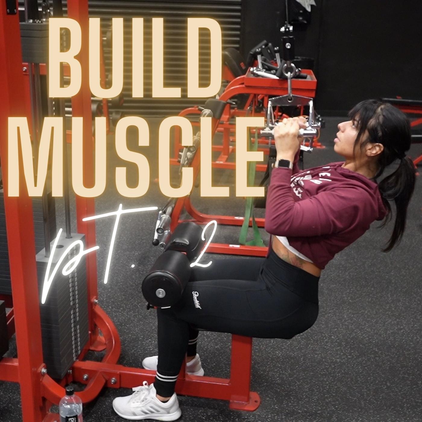 Build Muscle Program - Part 2