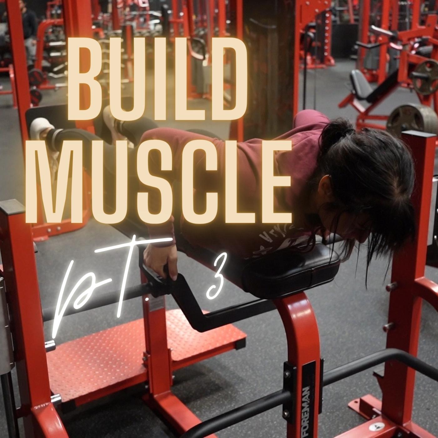 Build Muscle Program - Part 3